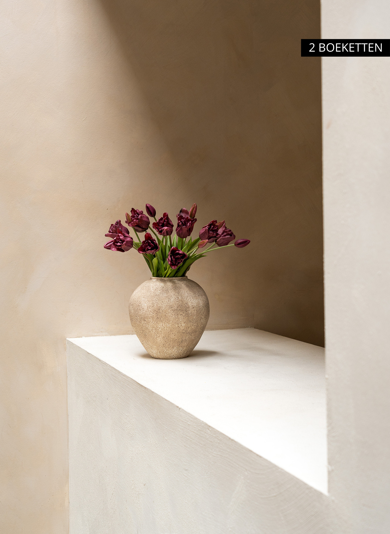 Parrot Tulips - Purple