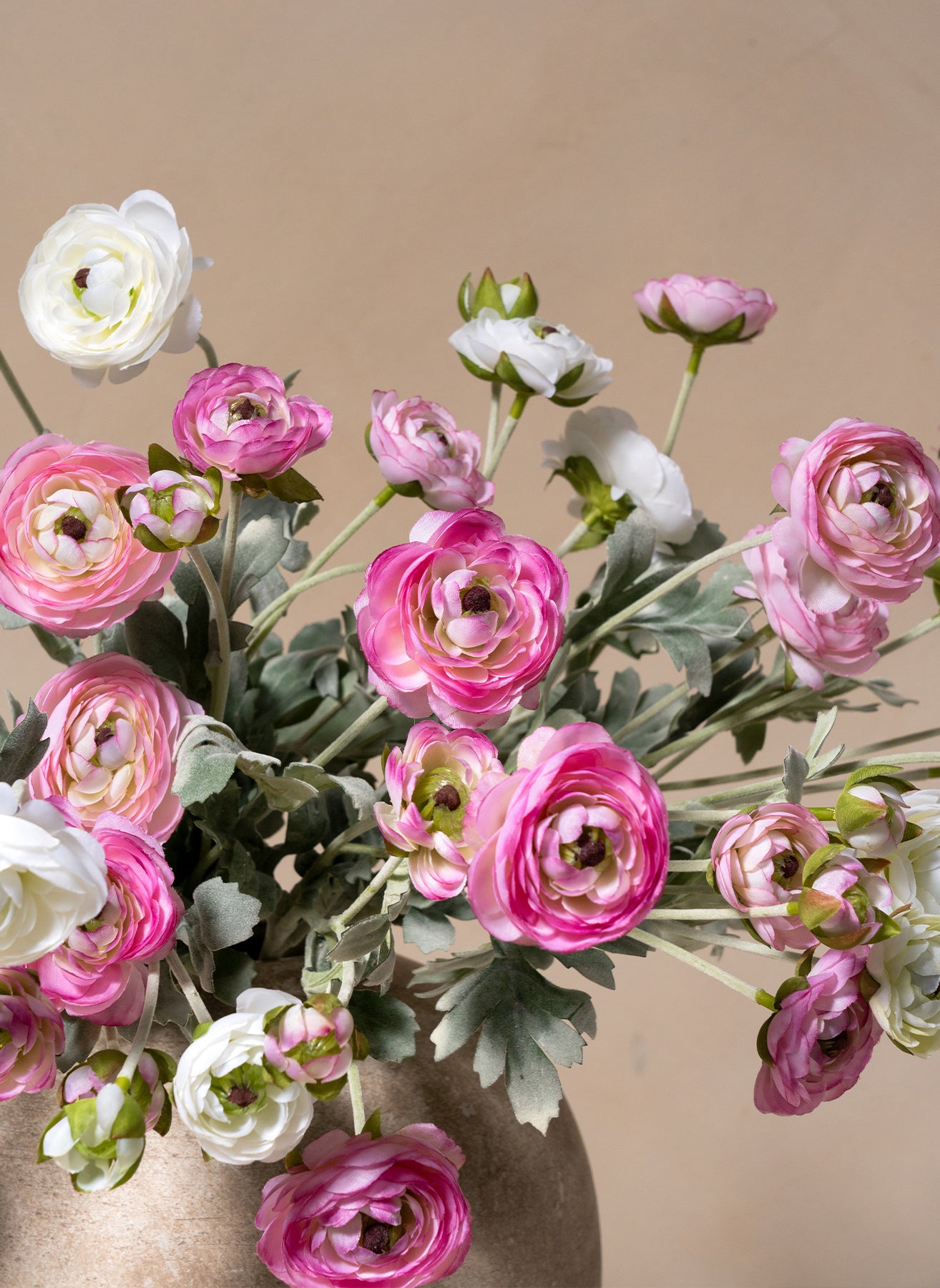 Ranunculus Arrangement