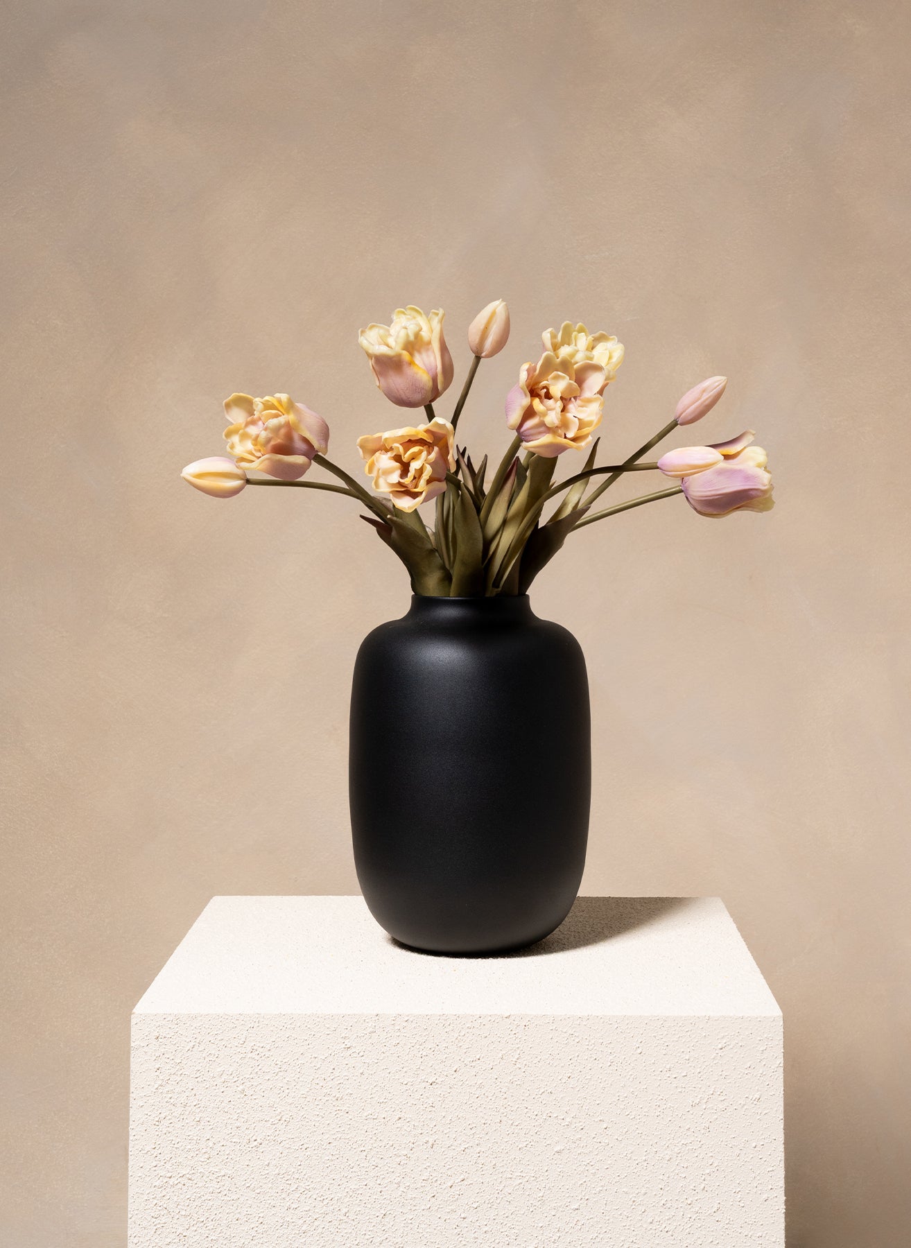 Parrot Tulips - Violet