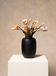 Parrot Tulips - Violet