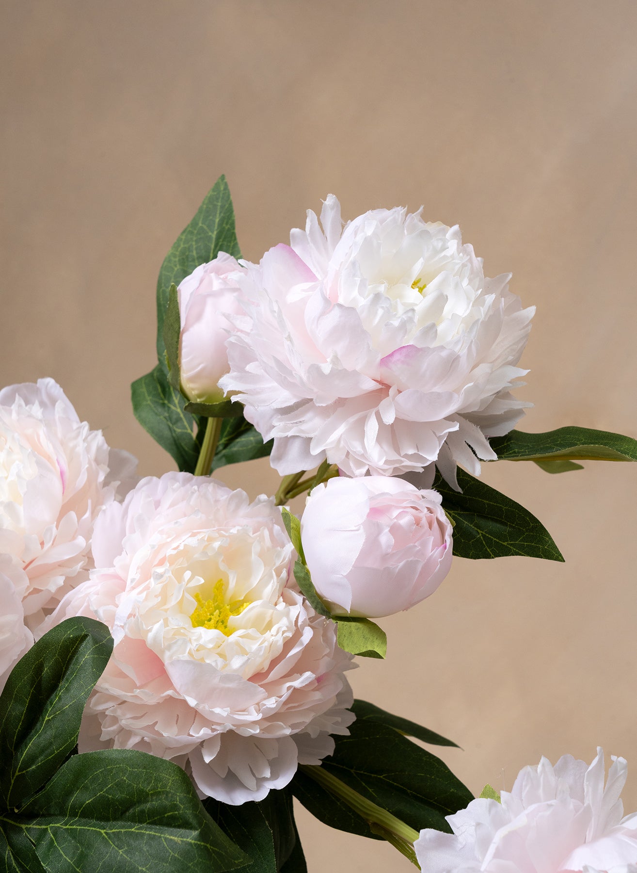 Silk Peonies - Light Pink