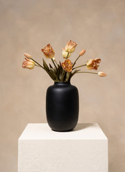 Parrot Tulips - Coffee