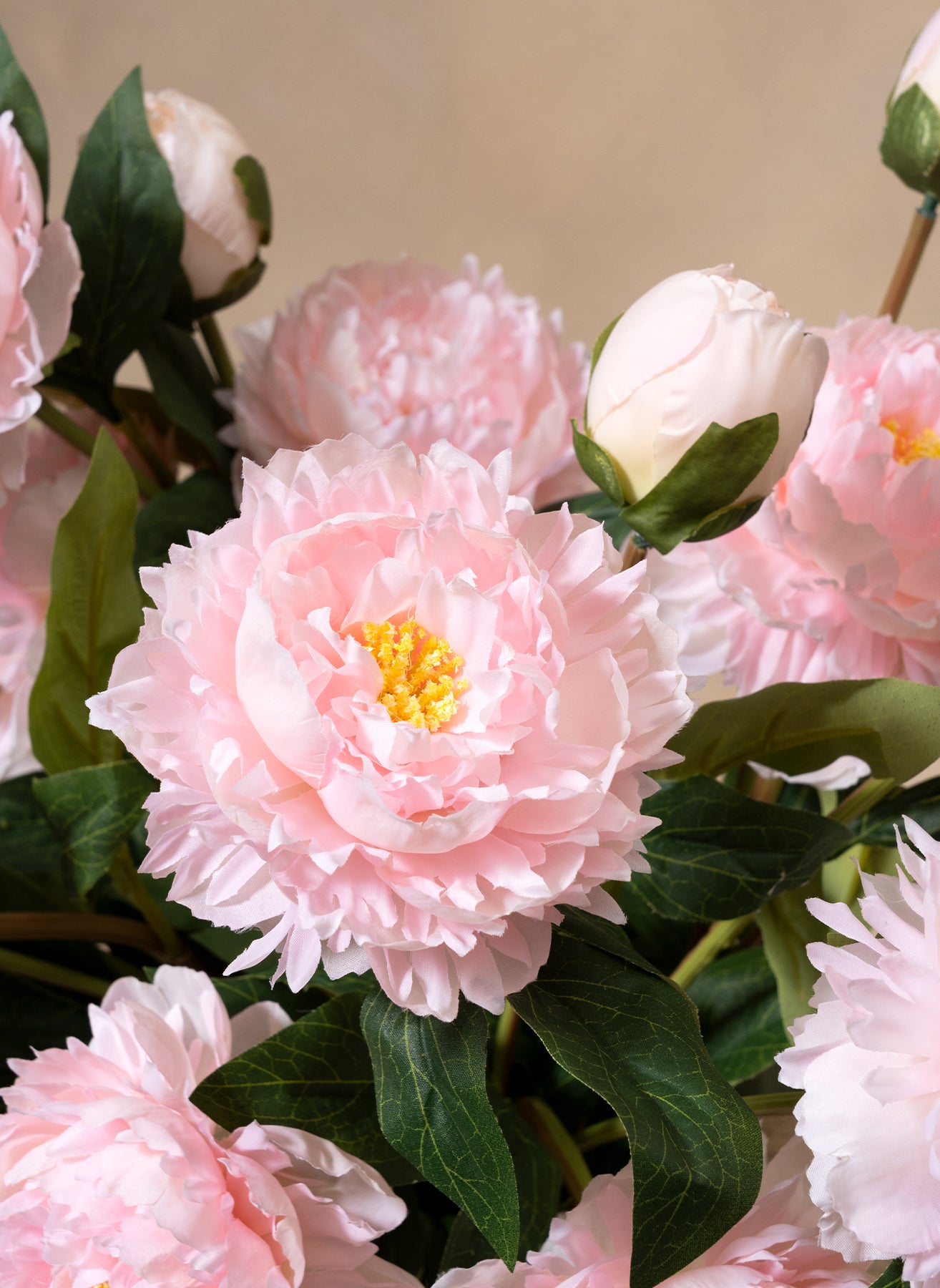 Silk Peonies - Pink