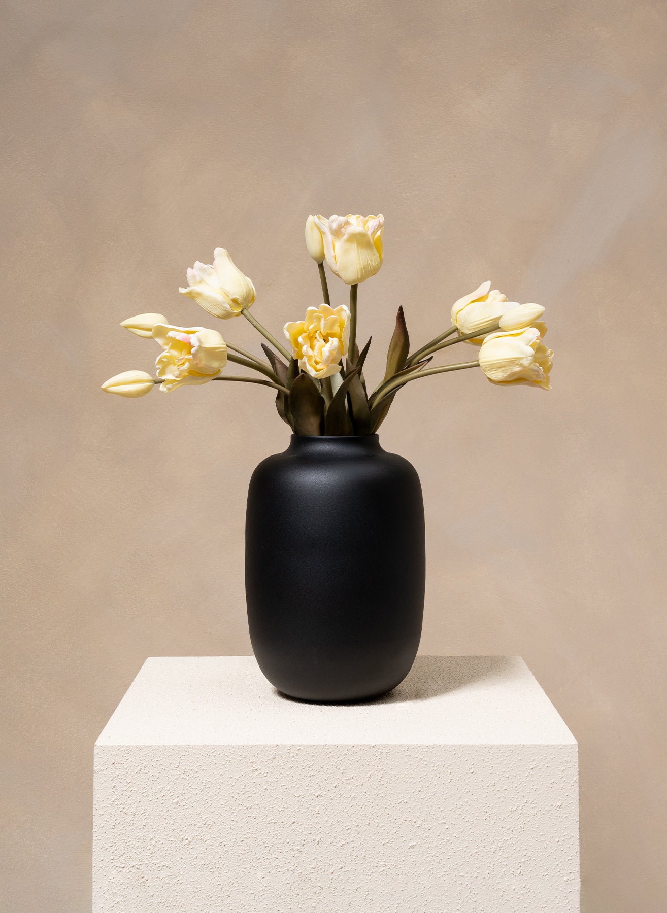 Parrot Tulips - White