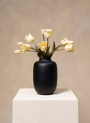 Parrot Tulips - White