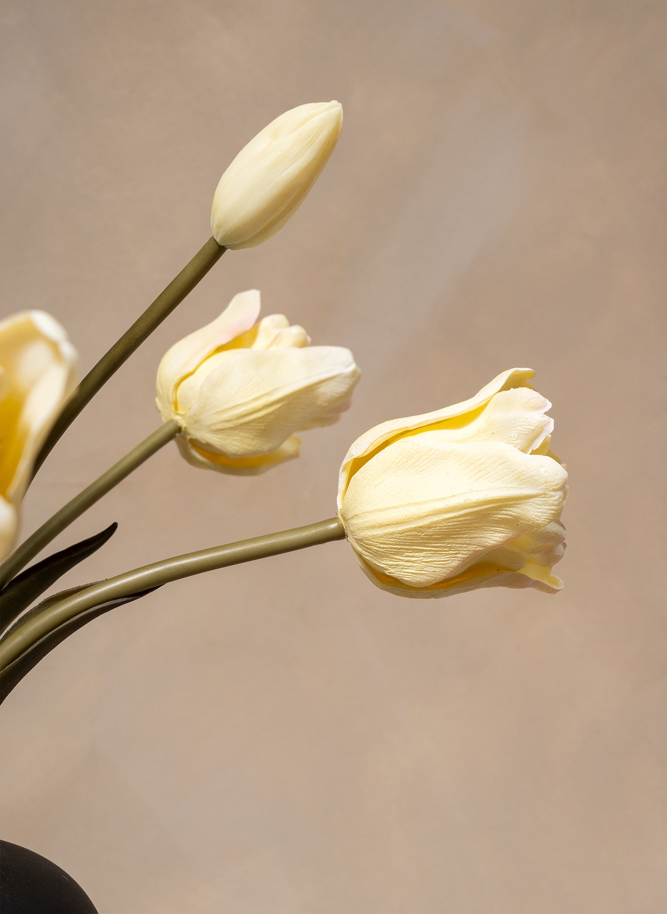 Parrot Tulips - White