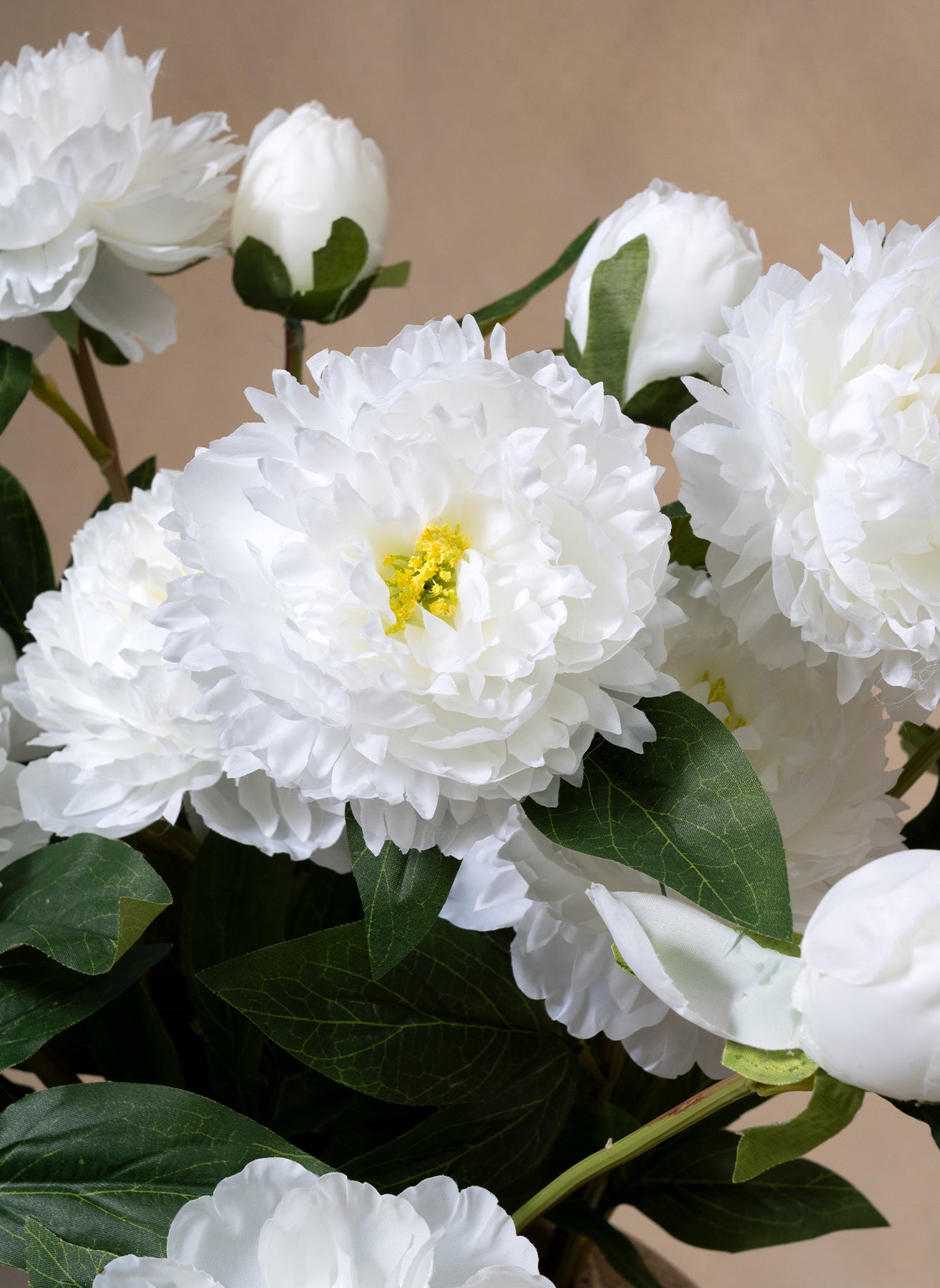 Silk Peonies - White