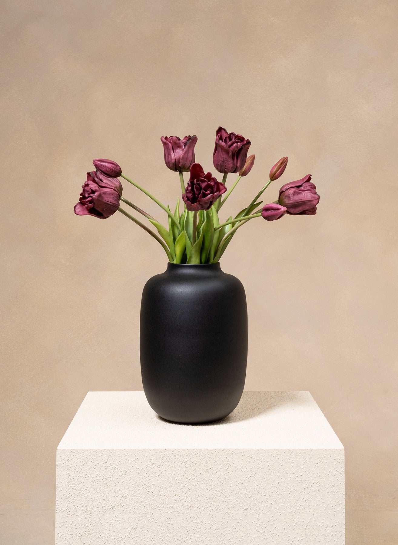 Parrot Tulips - Purple