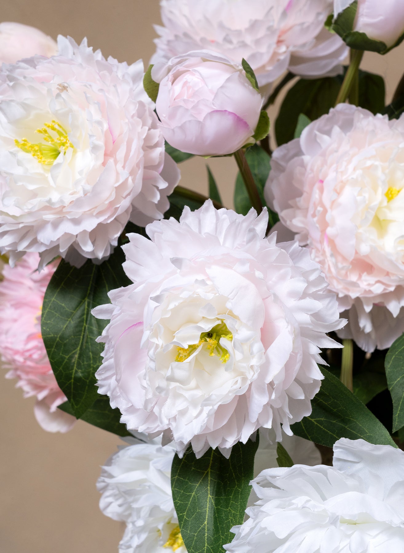 Silk Peonies - Mix