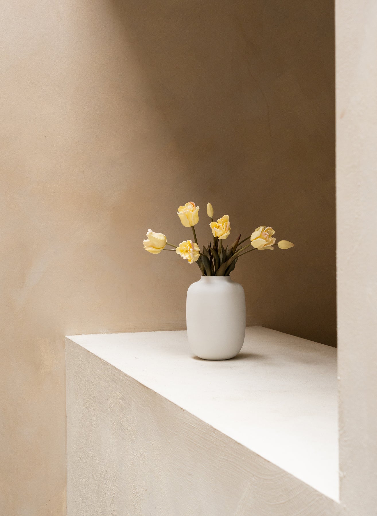 Parrot Tulips - White