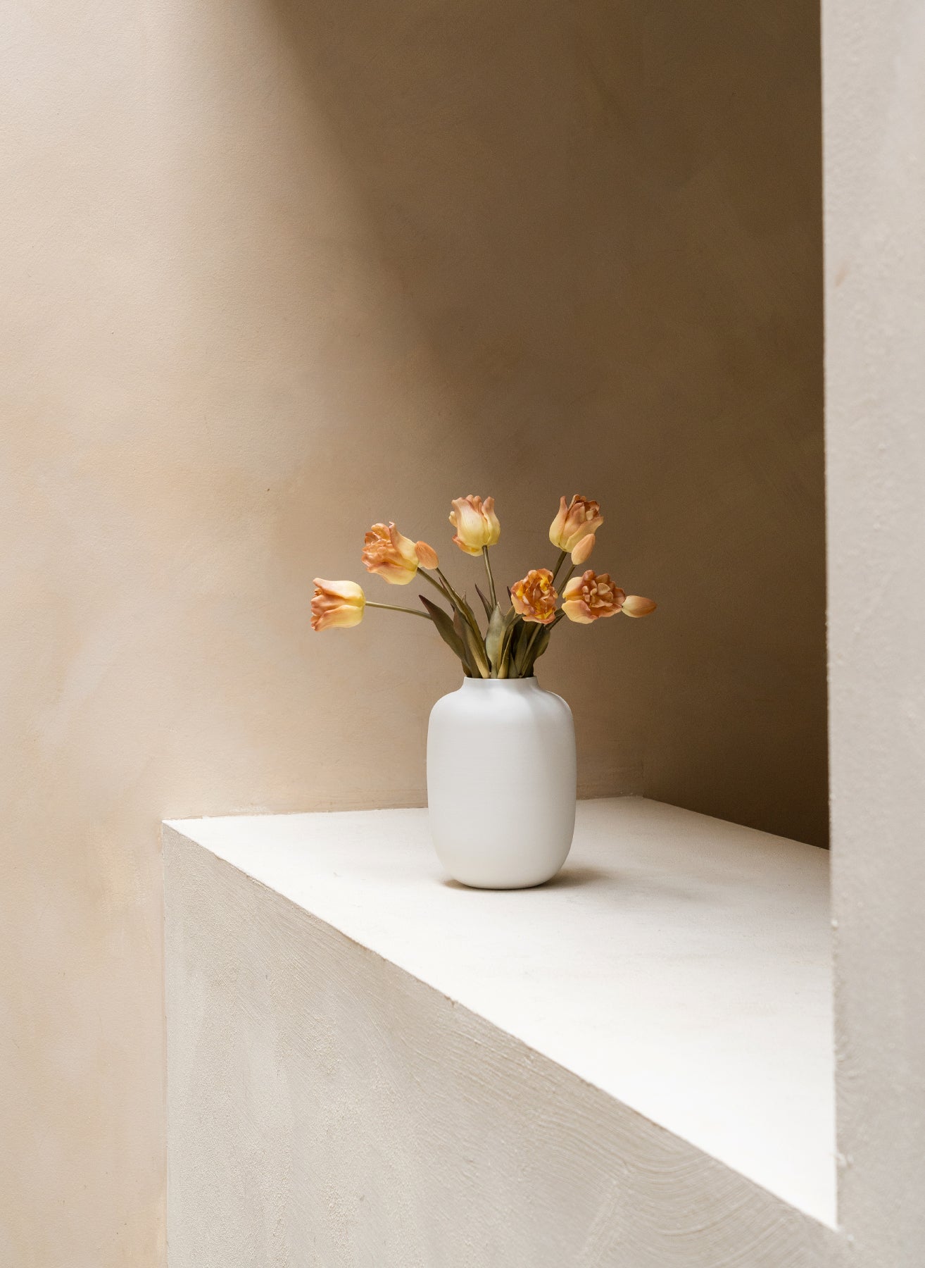 Parrot Tulips - Coffee