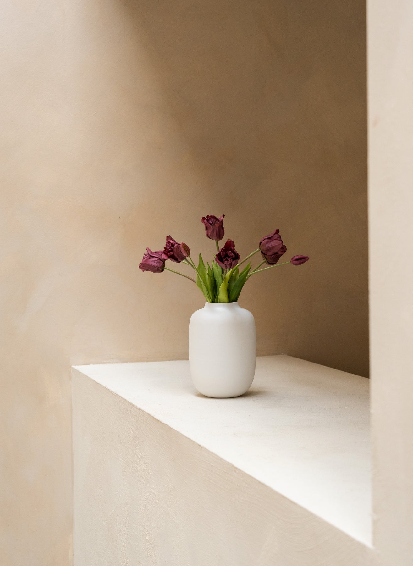 Parrot Tulips - Purple