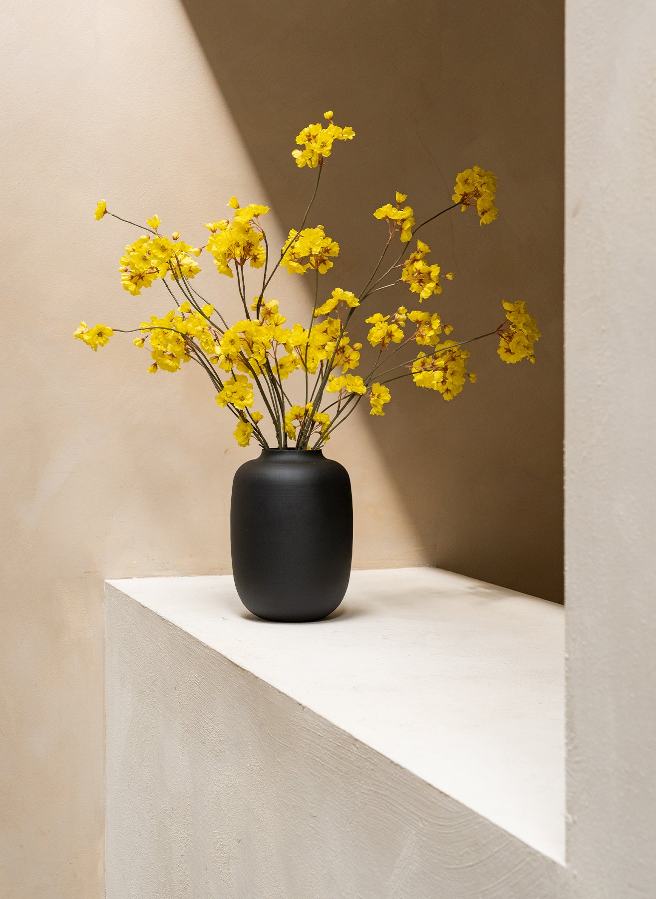 Winter Jasmine - Yellow