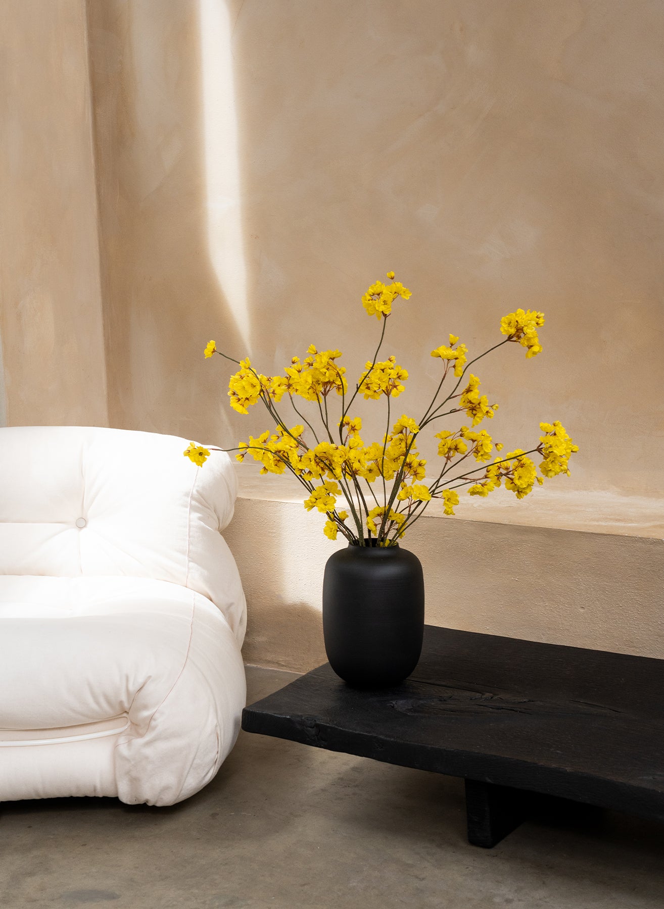 Winter Jasmine - Yellow