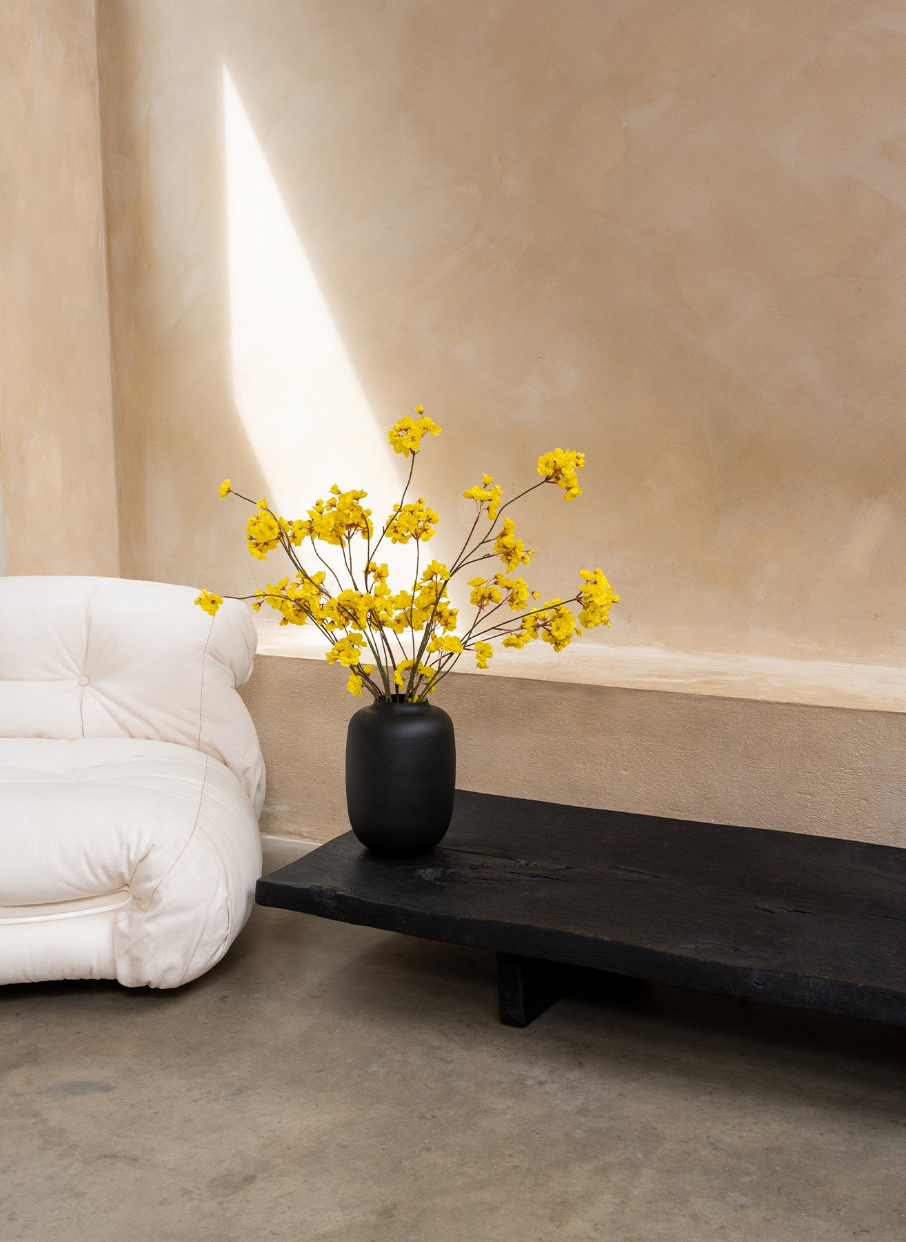 Winter Jasmine - Yellow
