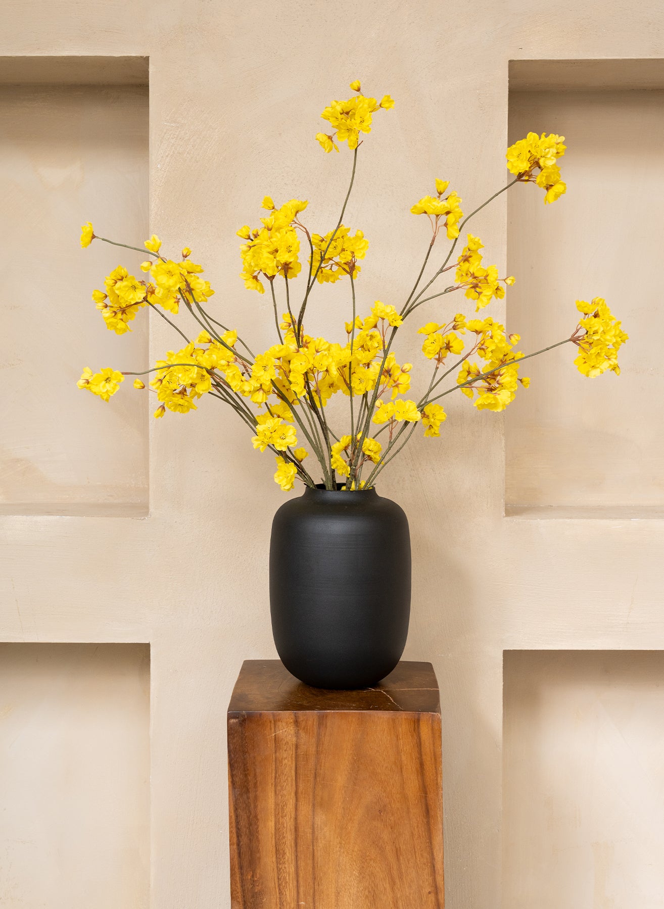 Winter Jasmine - Yellow