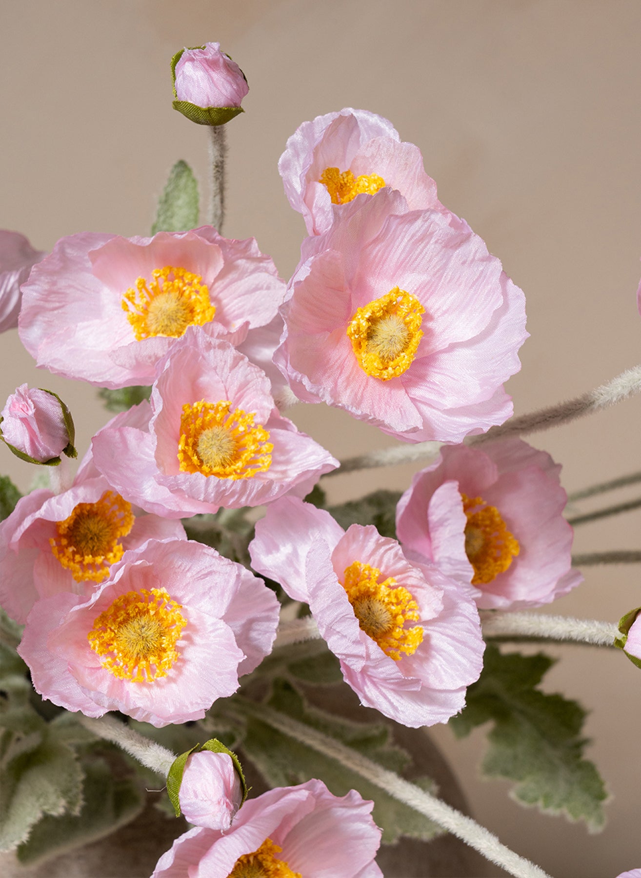 Silk Poppies - Light Pink