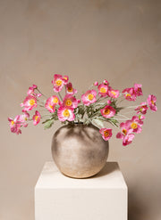 Silk Poppies - Pink