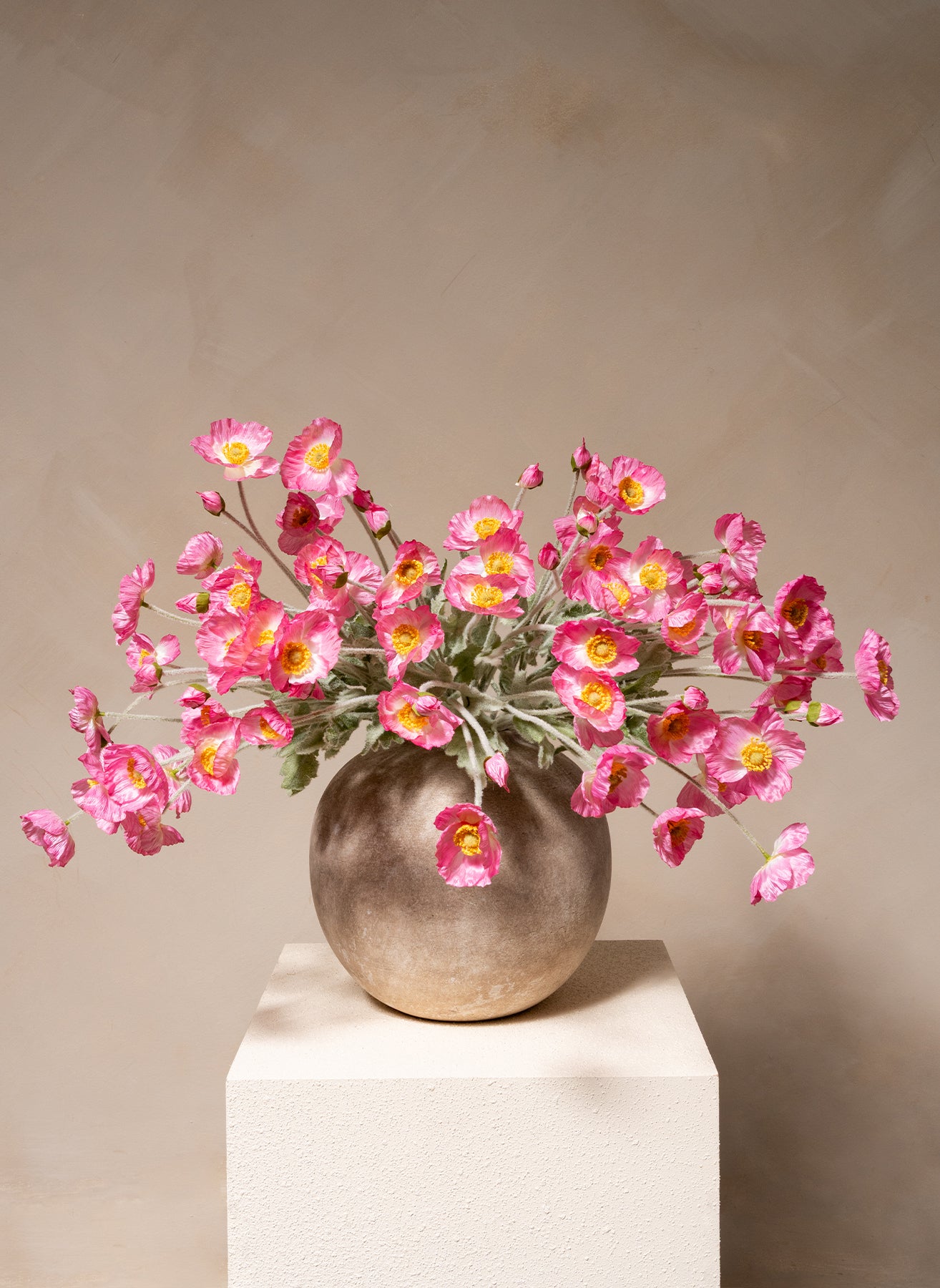 Silk Poppies - Pink