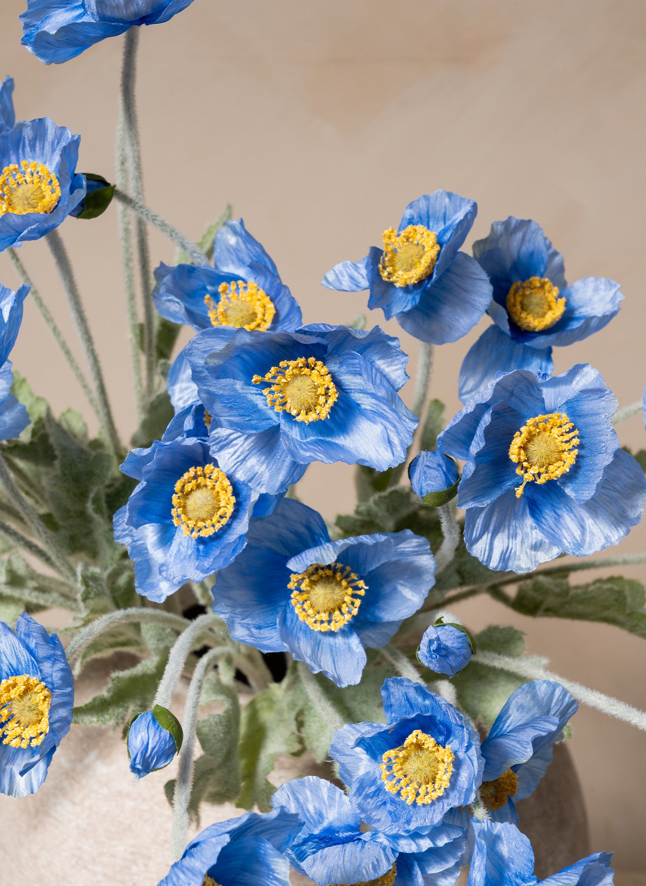 Silk Poppies - Blue