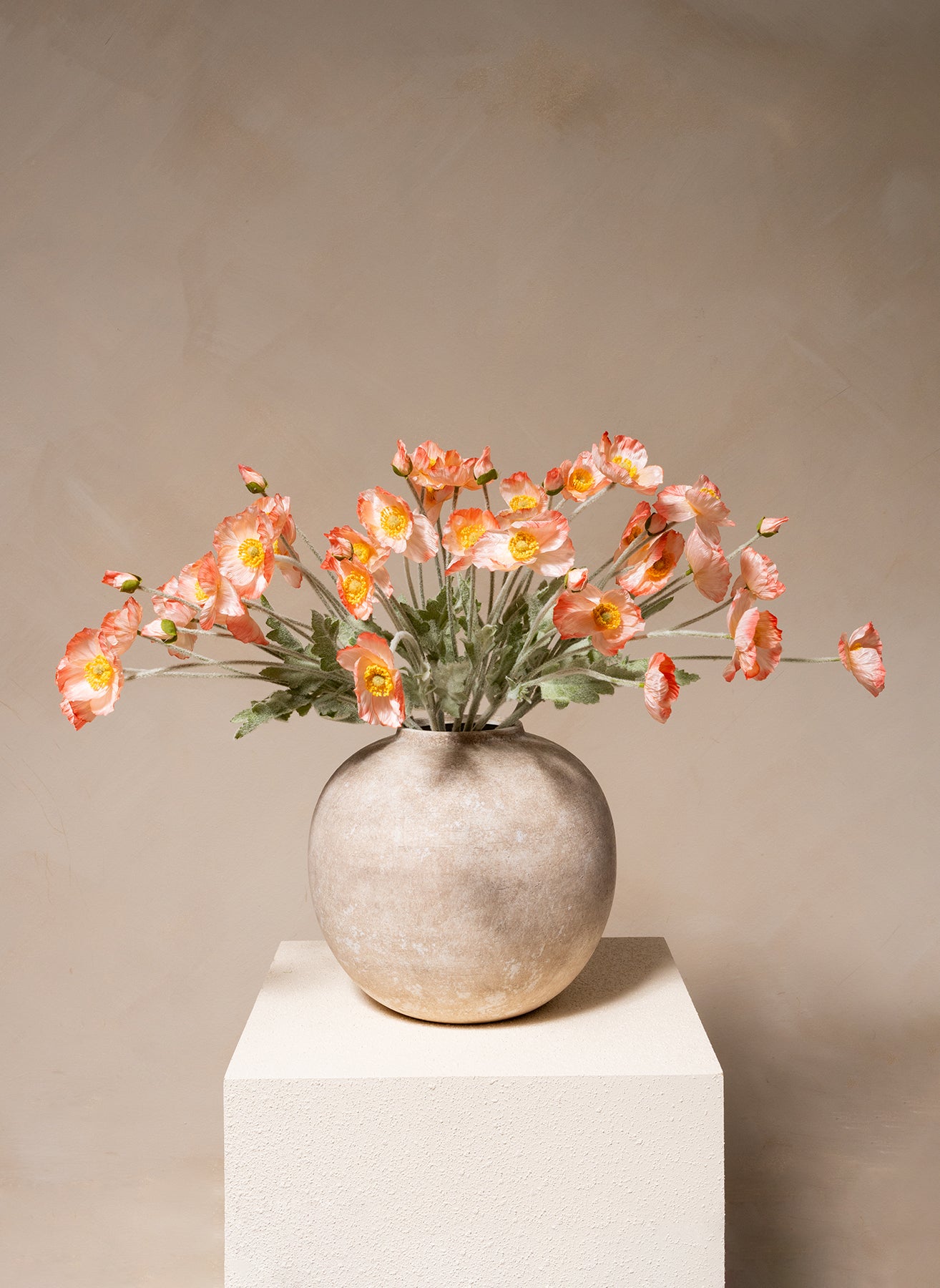 Silk Poppies - Old Rose