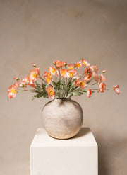 Silk Poppies - Old Rose