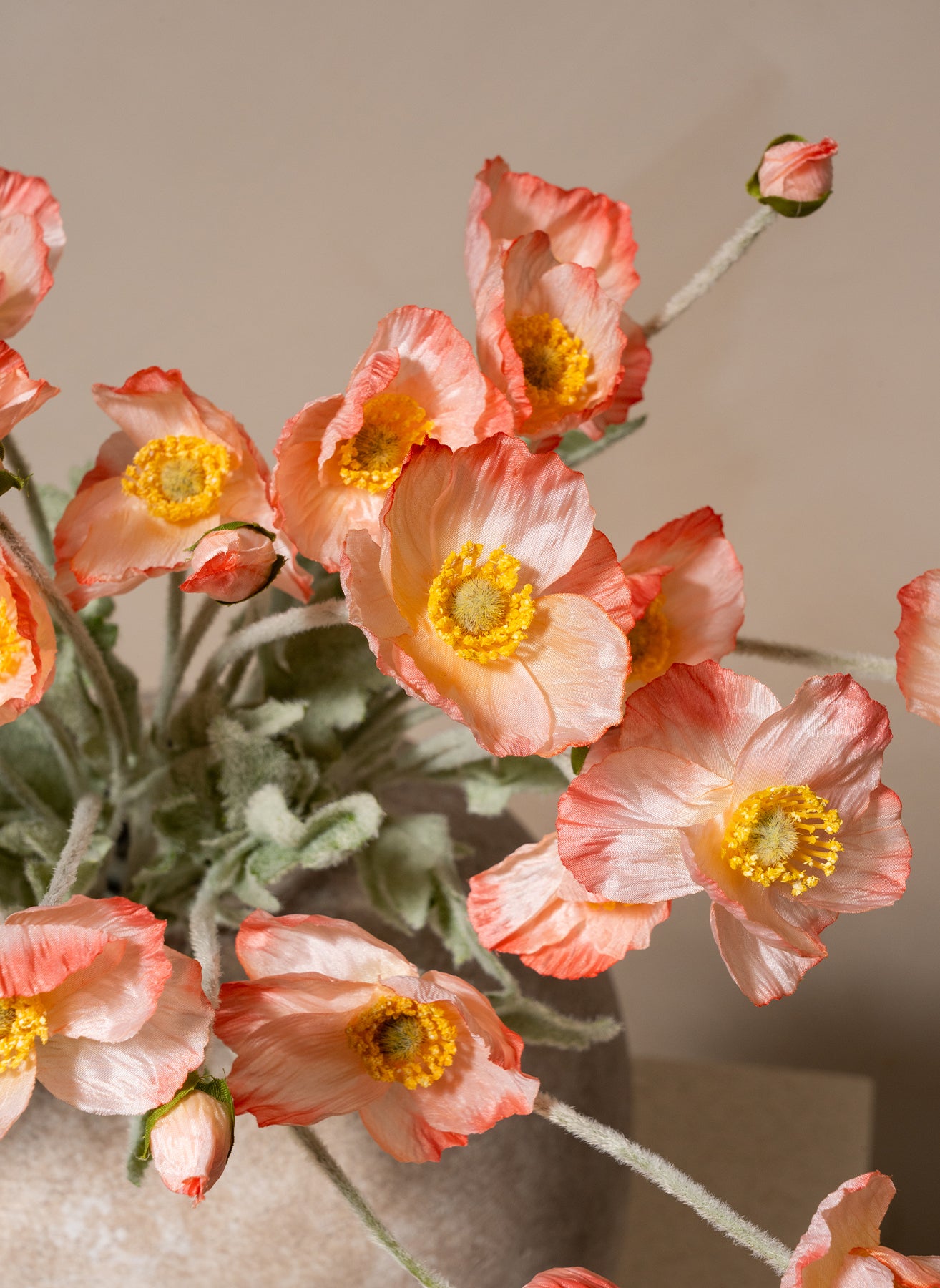 Silk Poppies - Old Rose