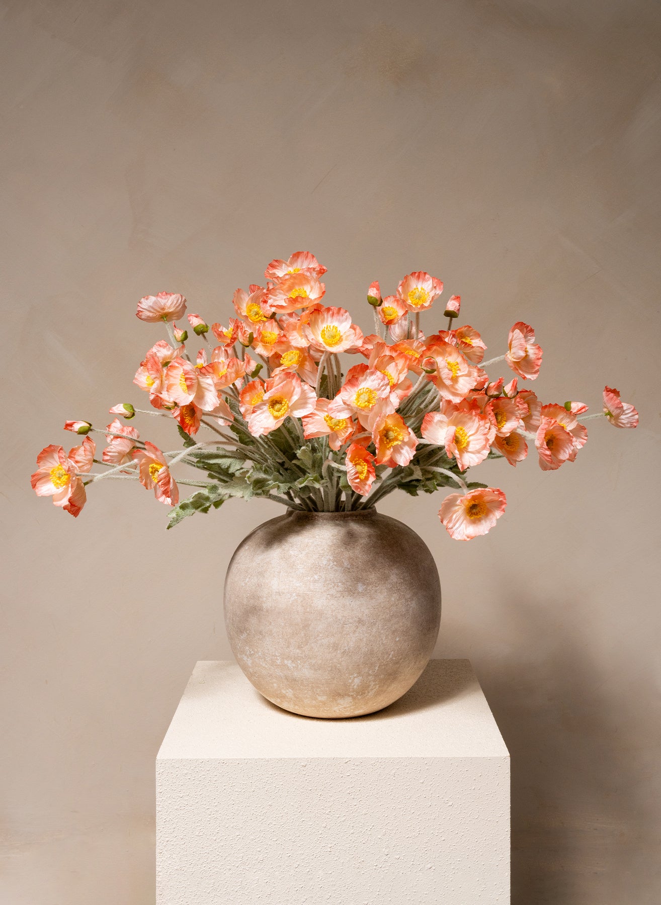 Silk Poppies - Old Rose
