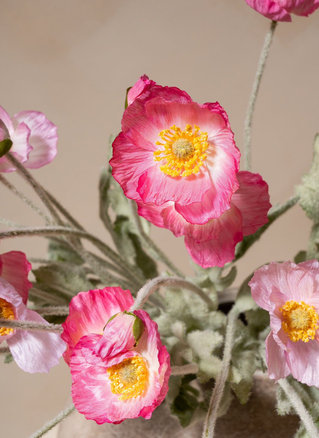 Silk Poppies - Pink Mix
