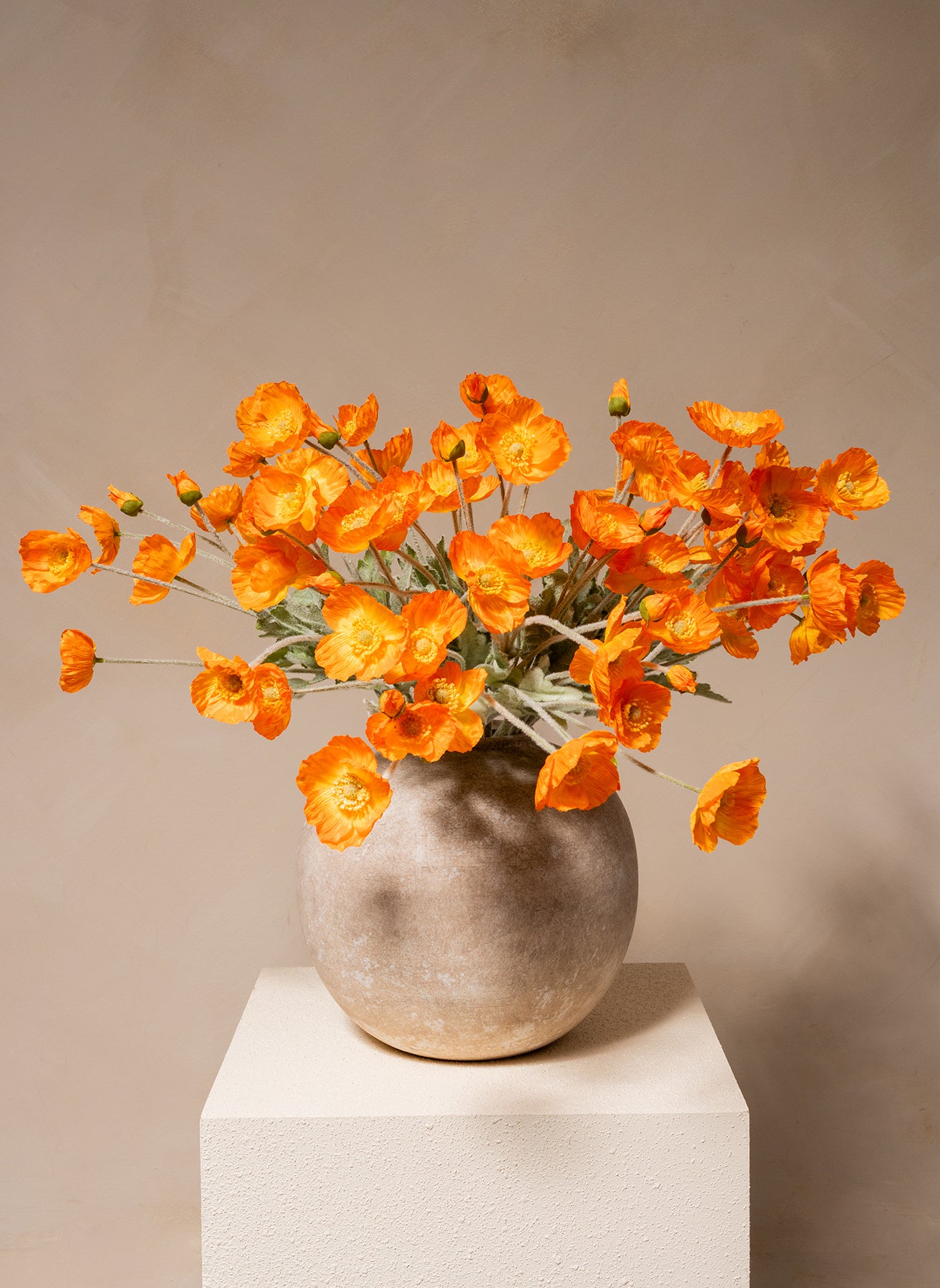 Silk Poppies - Light Orange