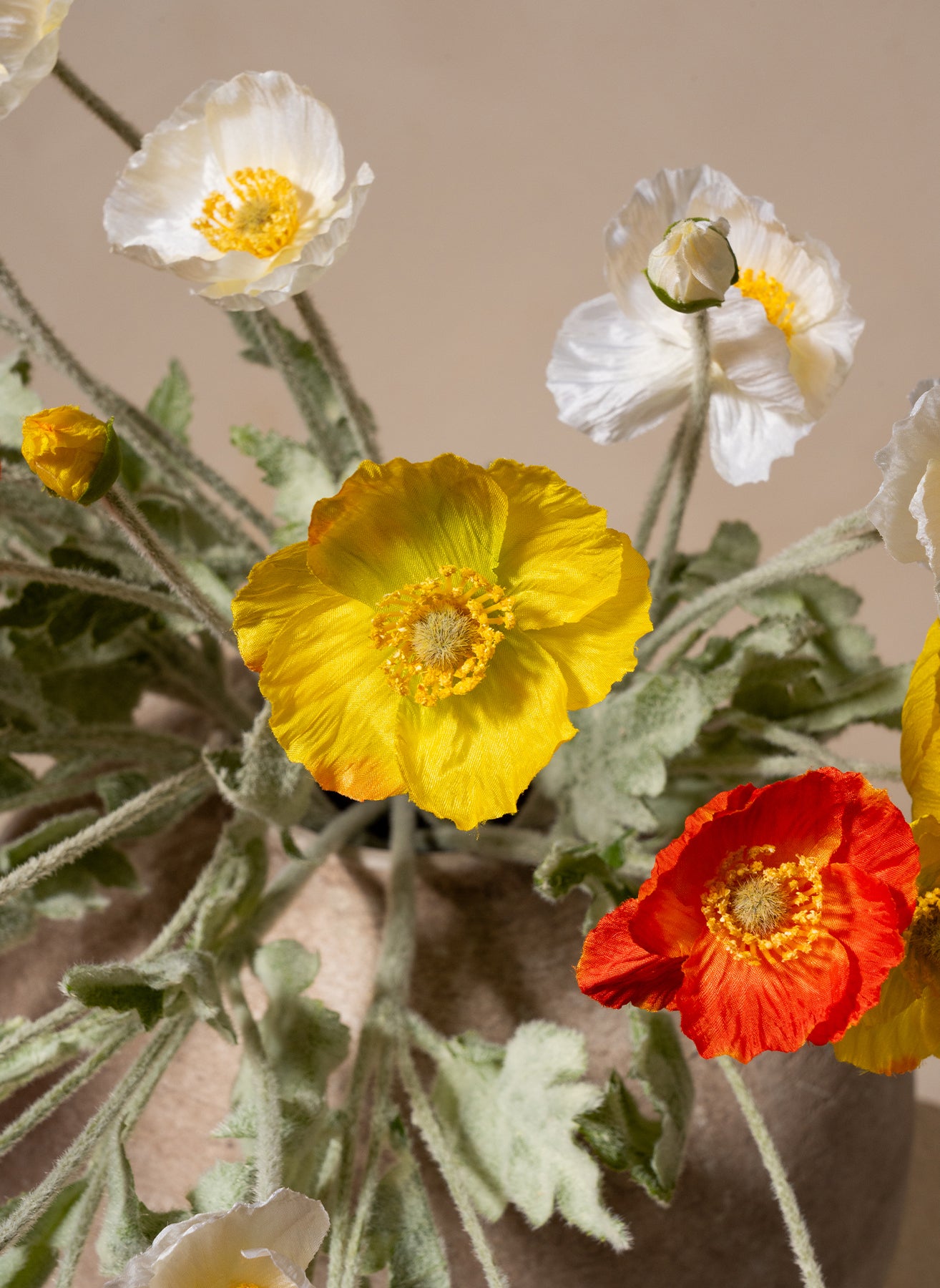 Silk Poppies - Mix