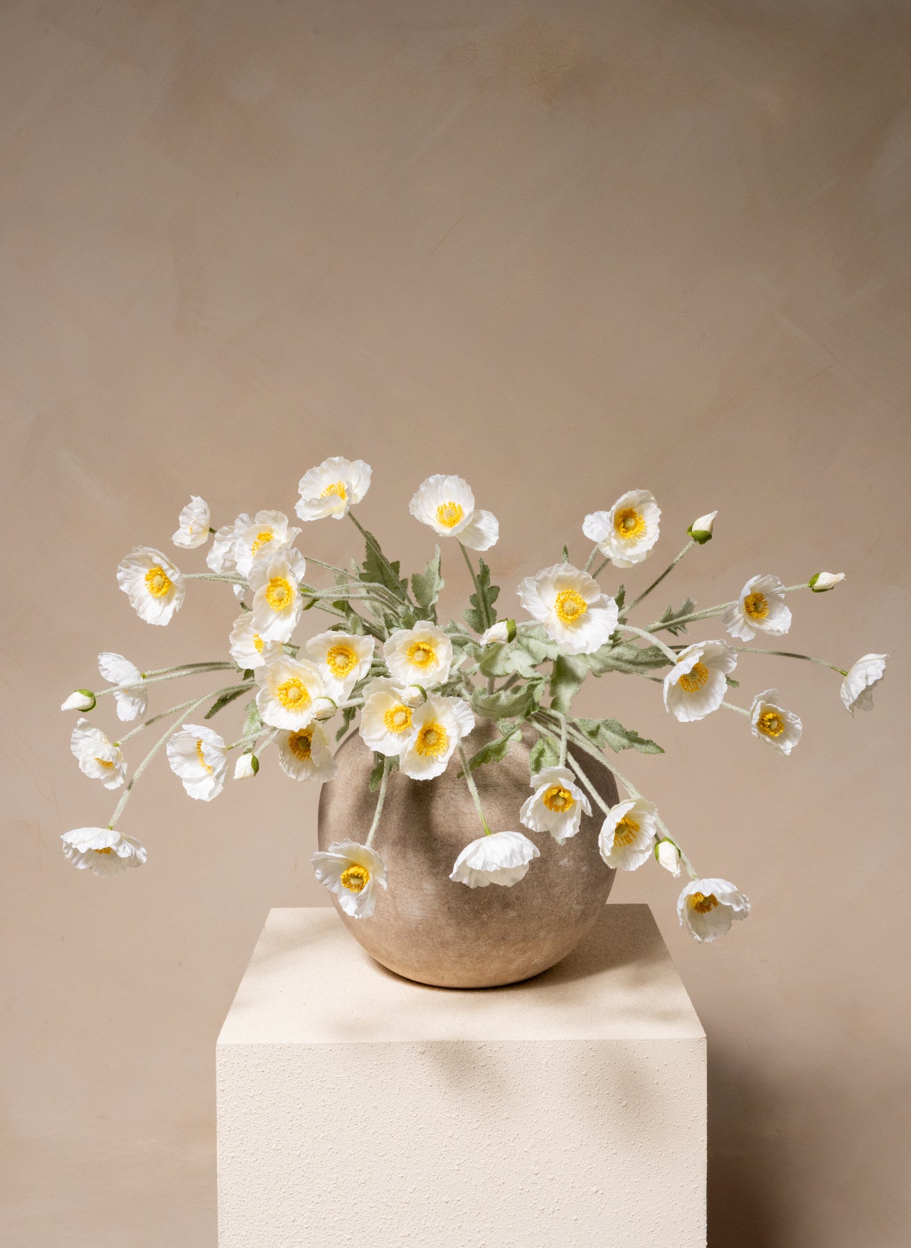 Silk Poppies - White