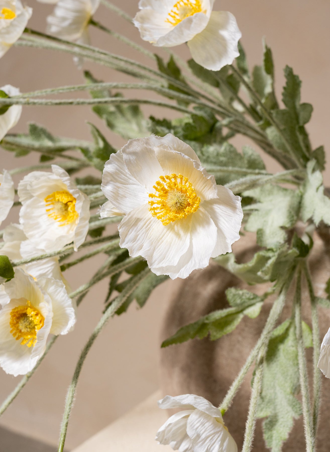 Silk Poppies - White