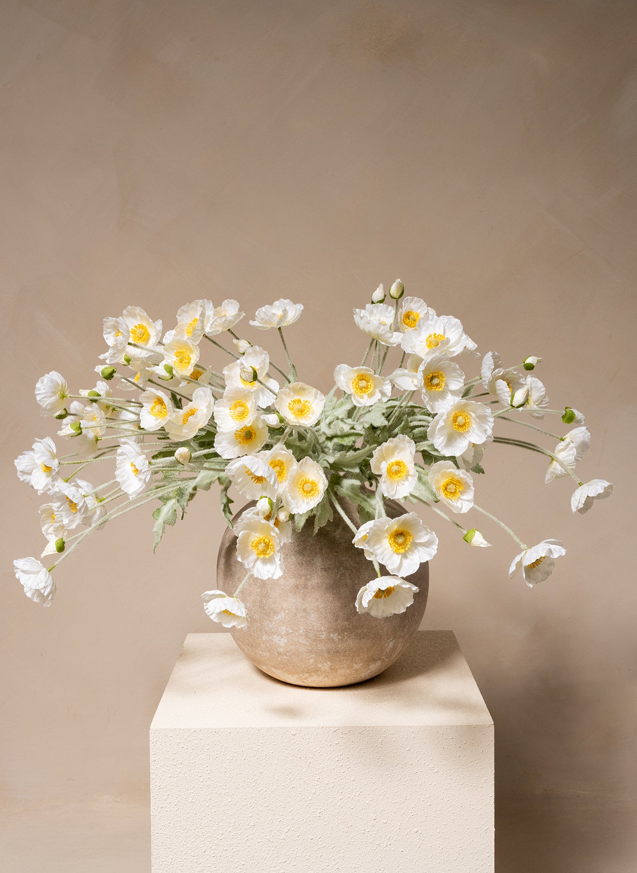Silk Poppies - White