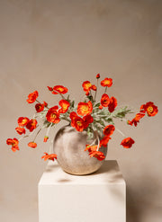 Silk Poppies - Orange