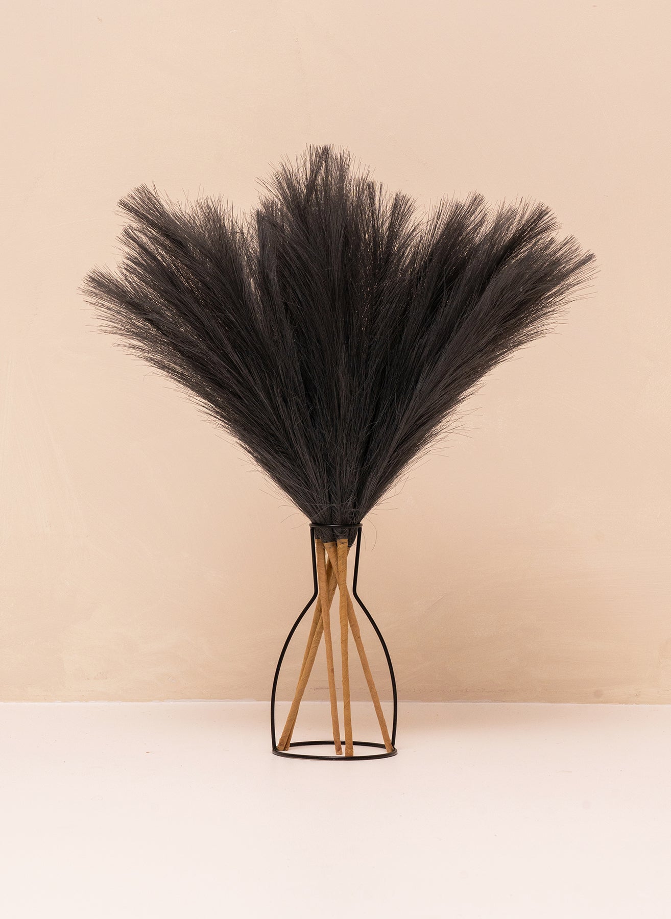 Pampas 60cm (5 stems) - Dark Grey