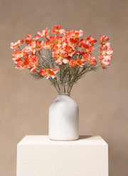 Silk Daisies (10 stems) - Old Pink