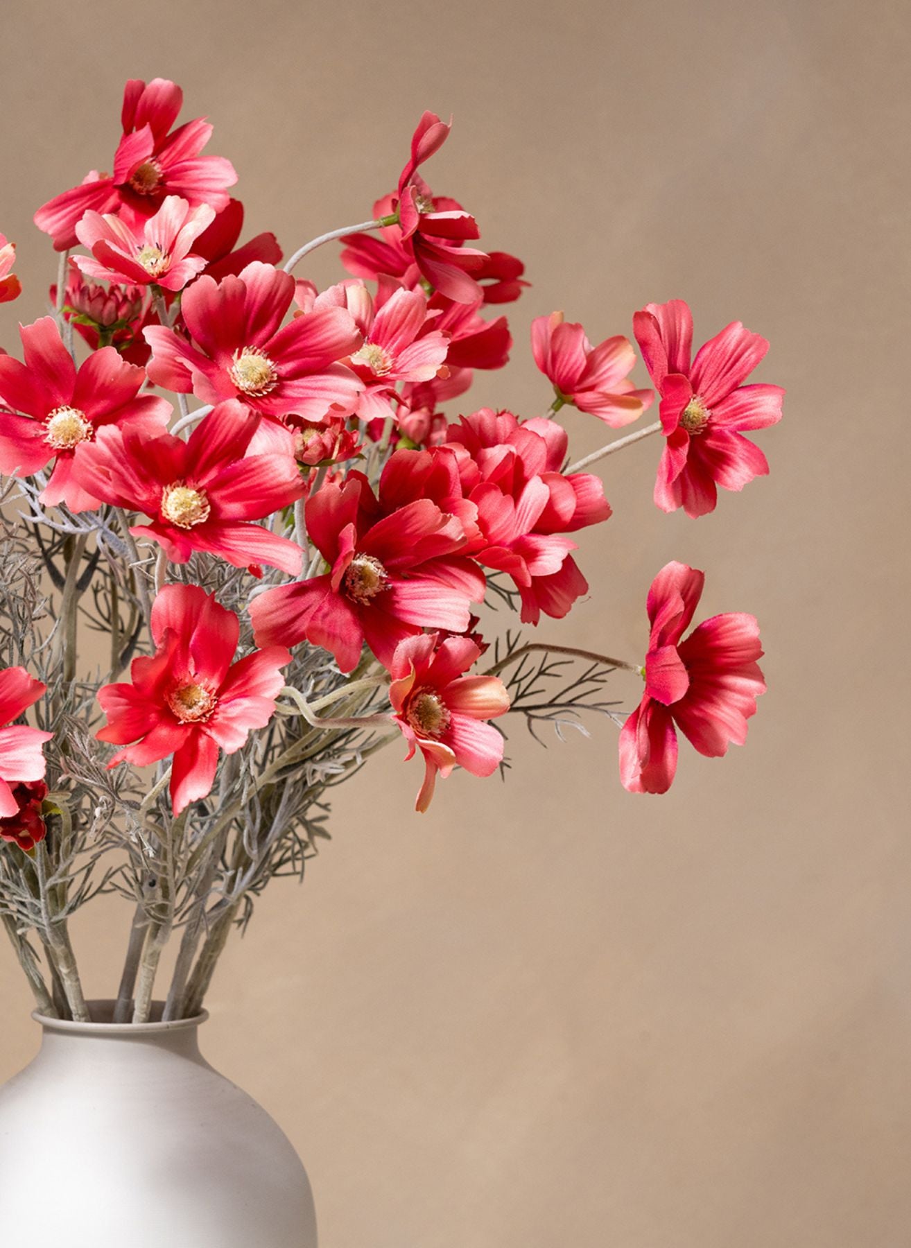 Silk Daisies (10 stems) - Fuchsia Pink