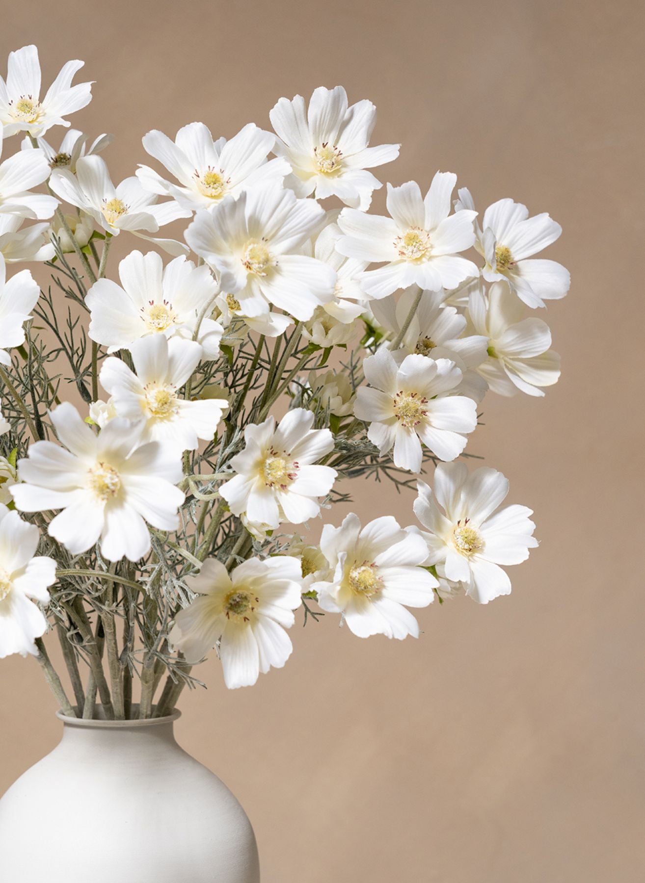 Silk Daisies (10 stems) - White