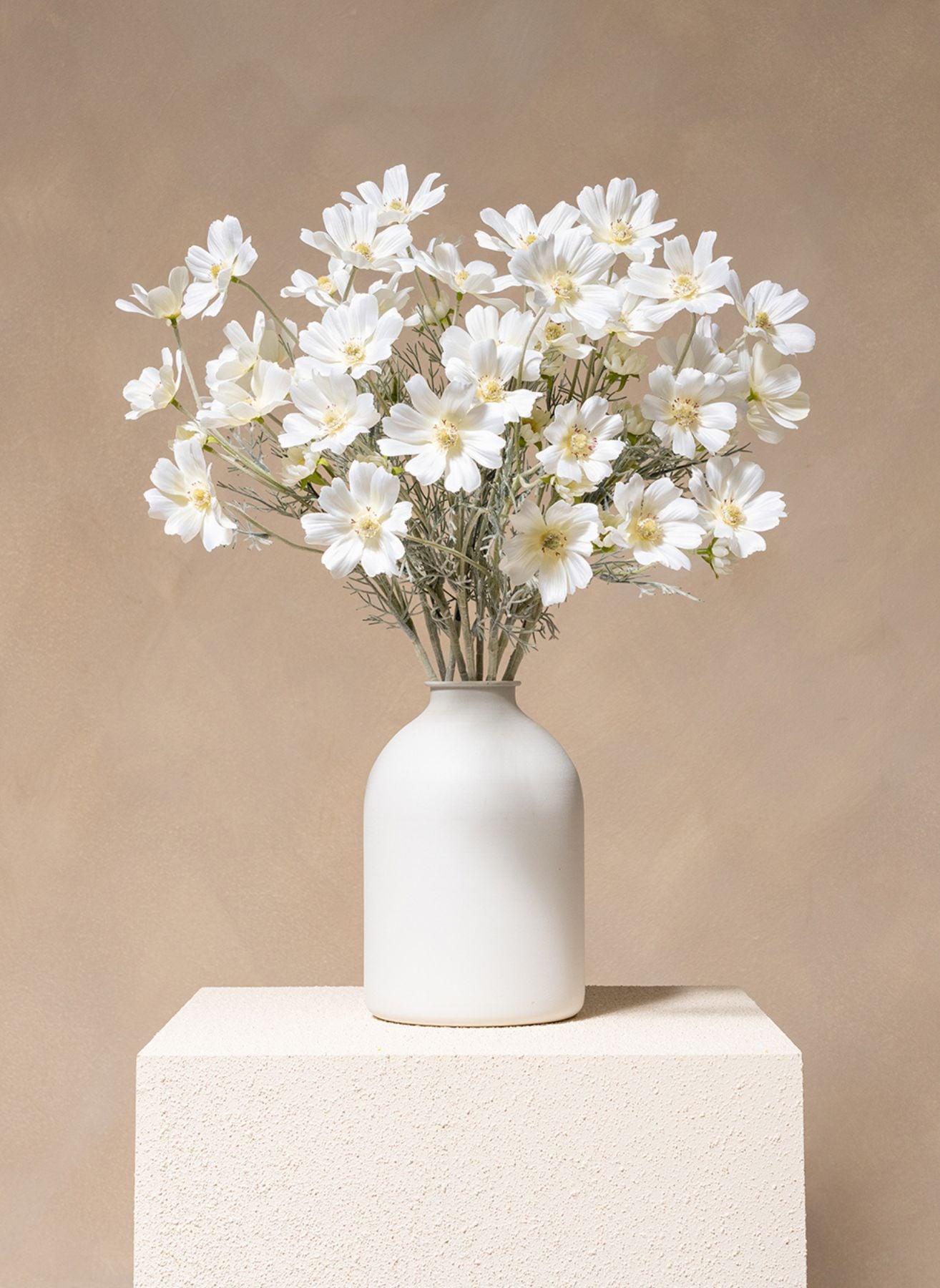 Silk Daisies (10 stems) - White