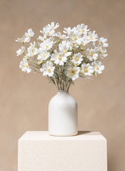 Silk Daisies (10 stems) - White