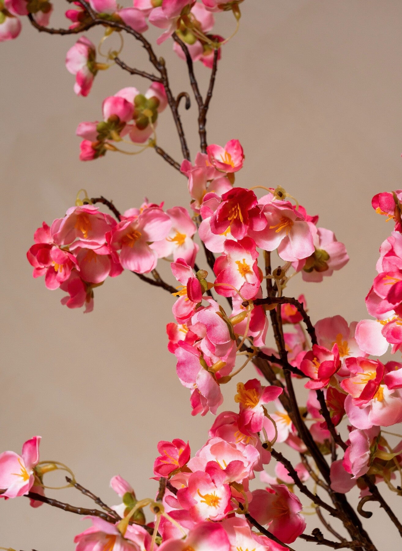 Silk Blossom - Fuchsia Pink