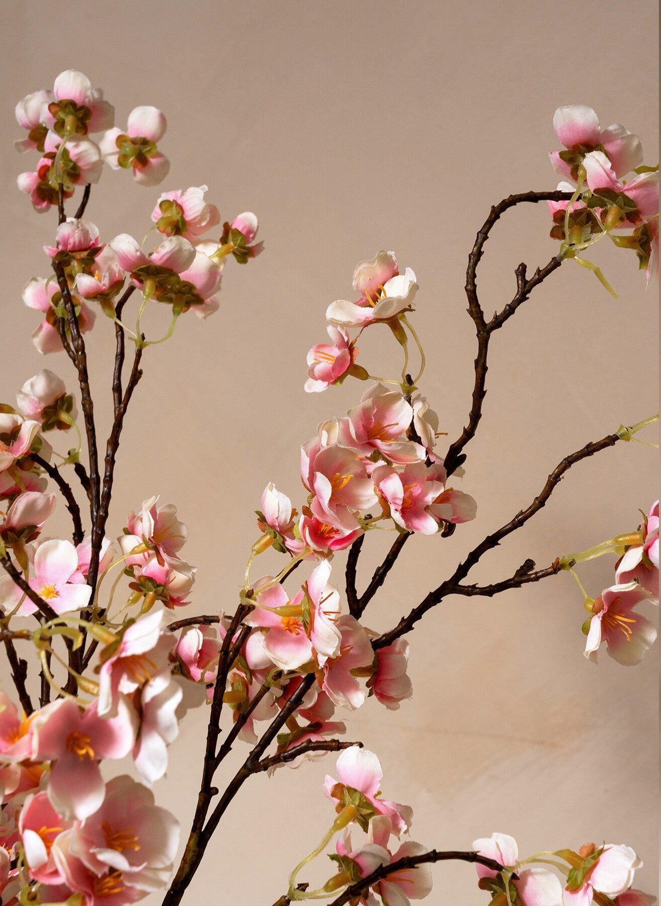 Silk Blossom - Old Rose
