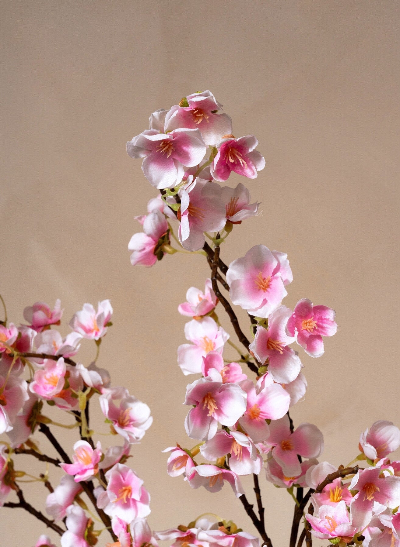 Silk Blossom - Pink