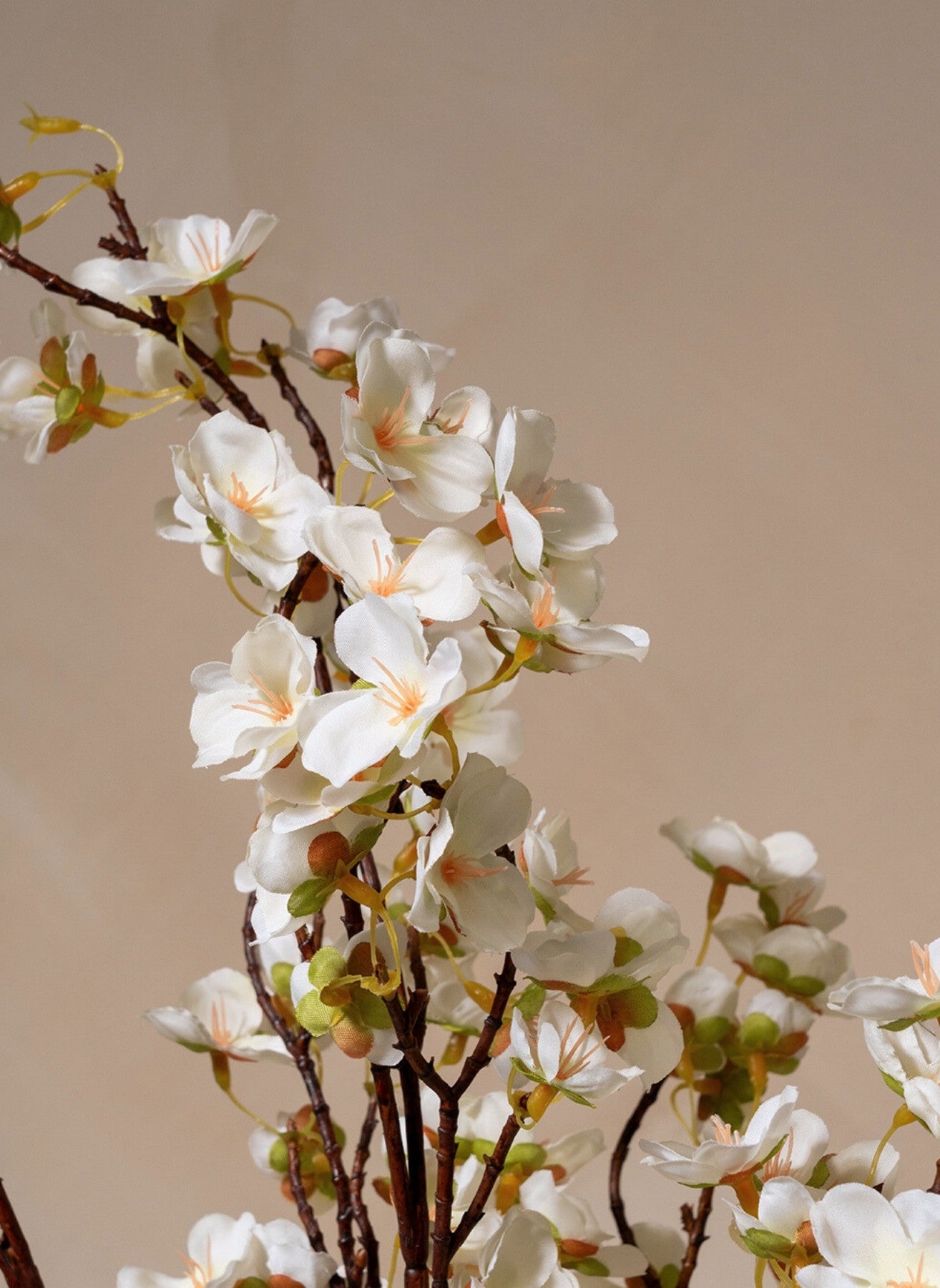 Silk Blossom - White