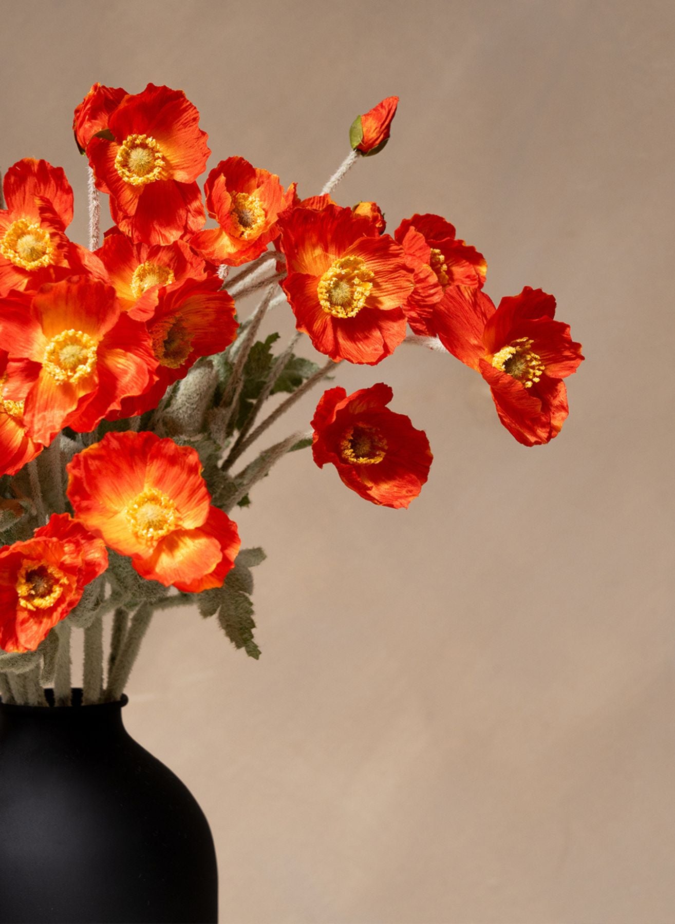 Silk Poppies - Orange