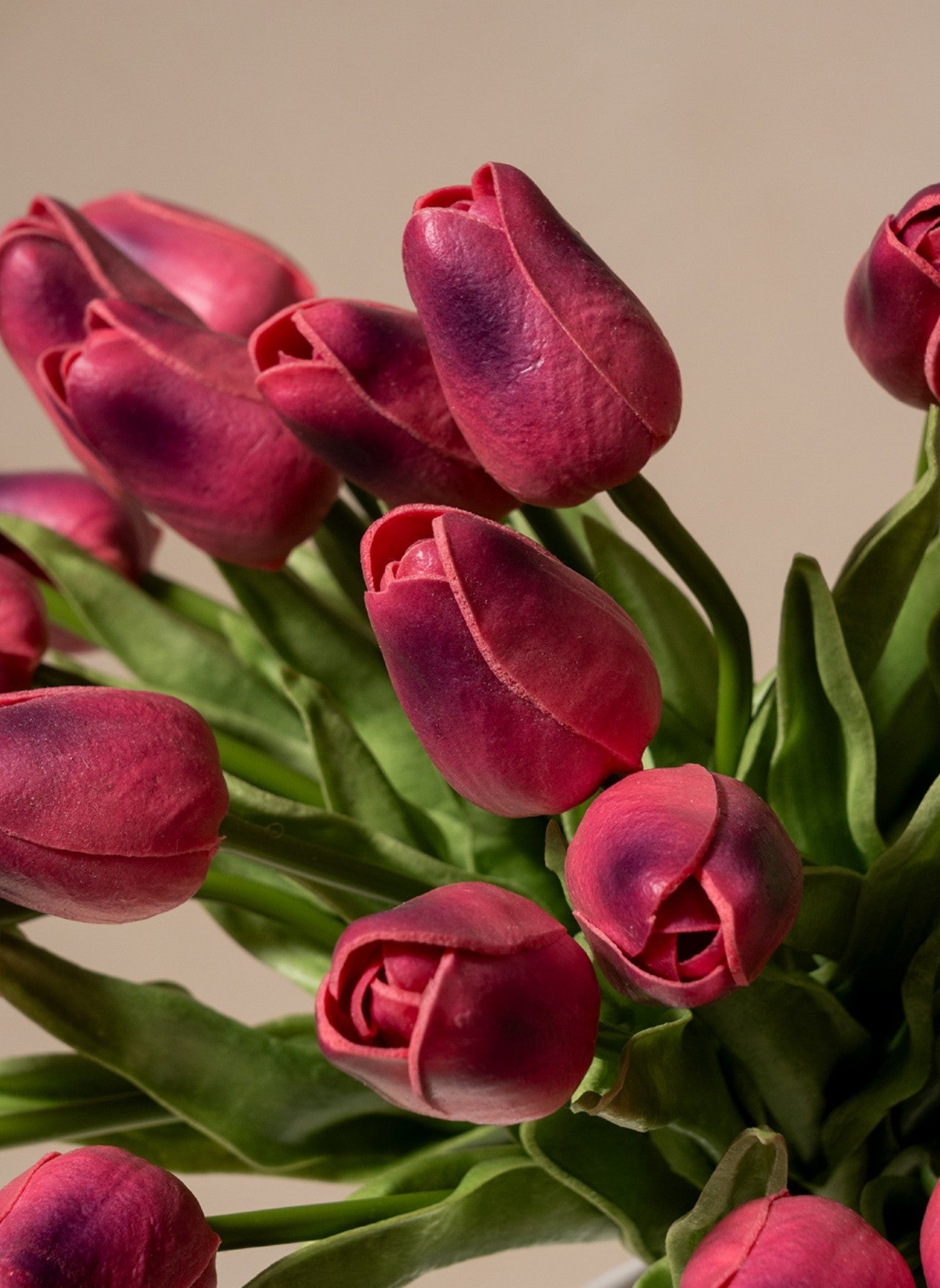 Tulip Bouquet - Purple (25 stems)