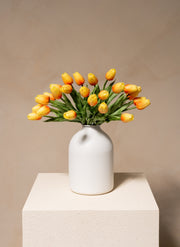 Tulip Bouquet - Peach (25 stems)