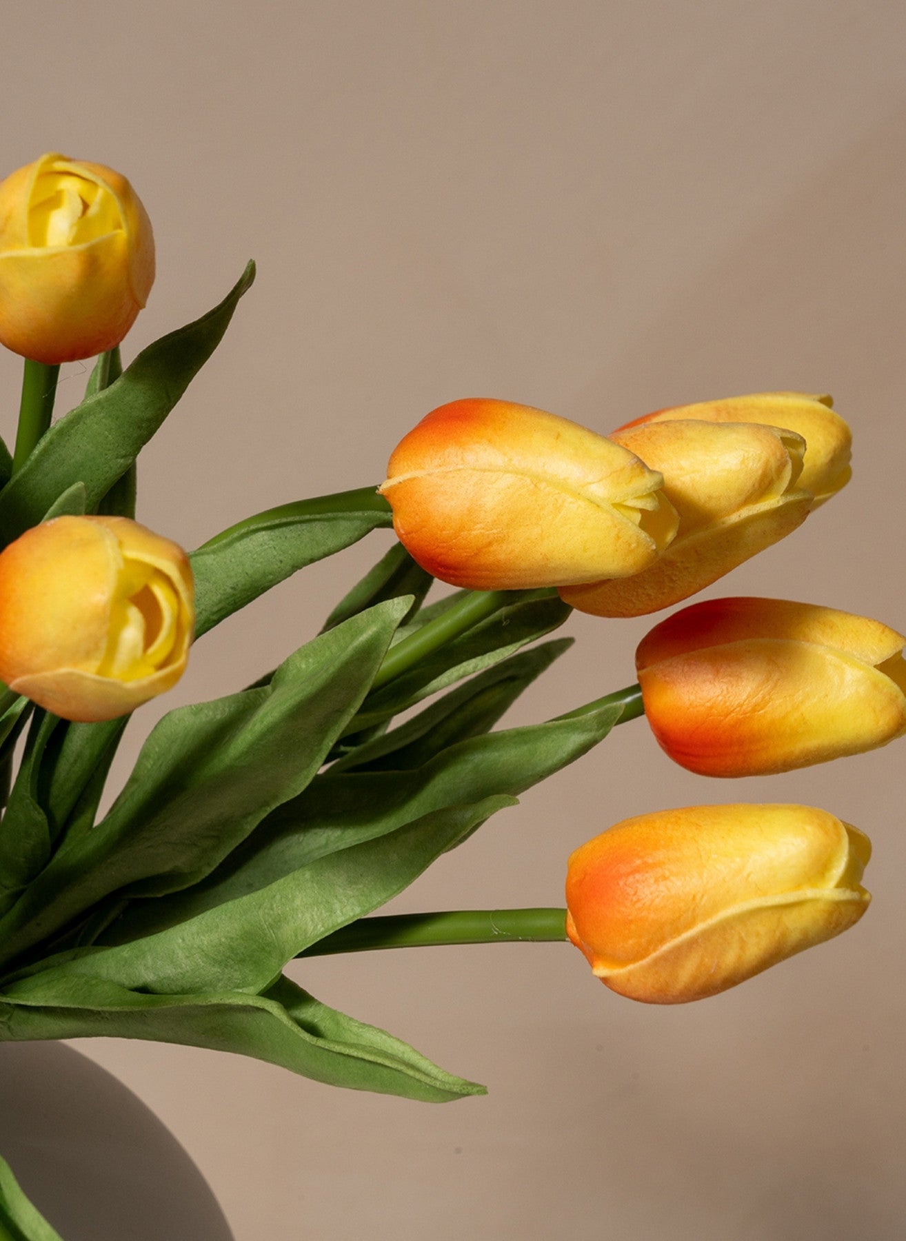 Tulip Bouquet - Peach (25 stems)