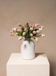Tulip Bouquet - Violet (25 stems)